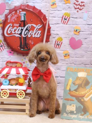 20230905ラムちゃん